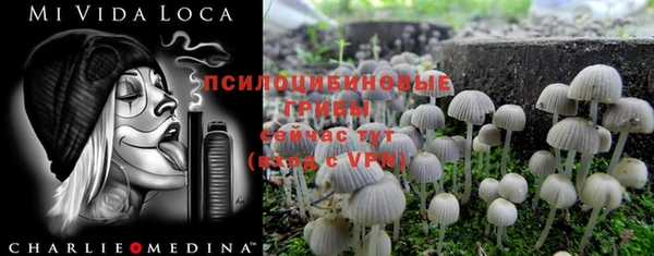 синтетический гашиш Алексин