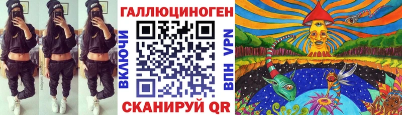 Галлюциногенные грибы Psilocybine cubensis  закладка  Чаплыгин 
